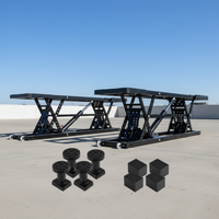 Portable Car Lift Built to Handle 5,000 LBS, 25.6 Max Height, Heavy-Duty Carbon Steel, 120V Power Unit